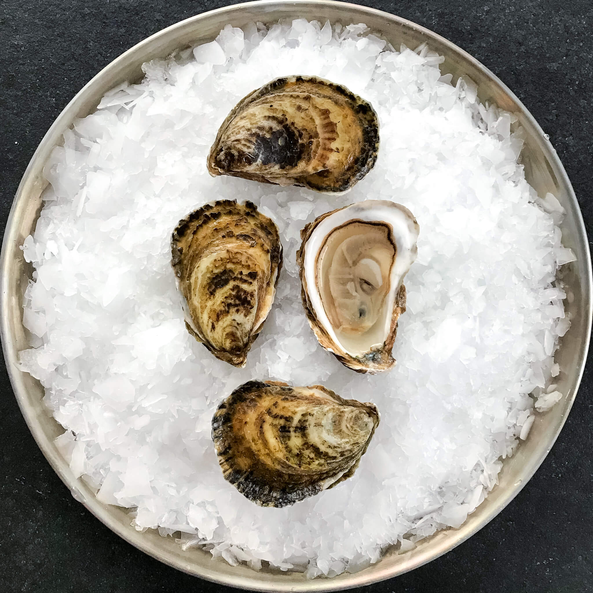 Can You Freeze Shucked Oysters: Essential Tips for Freshness