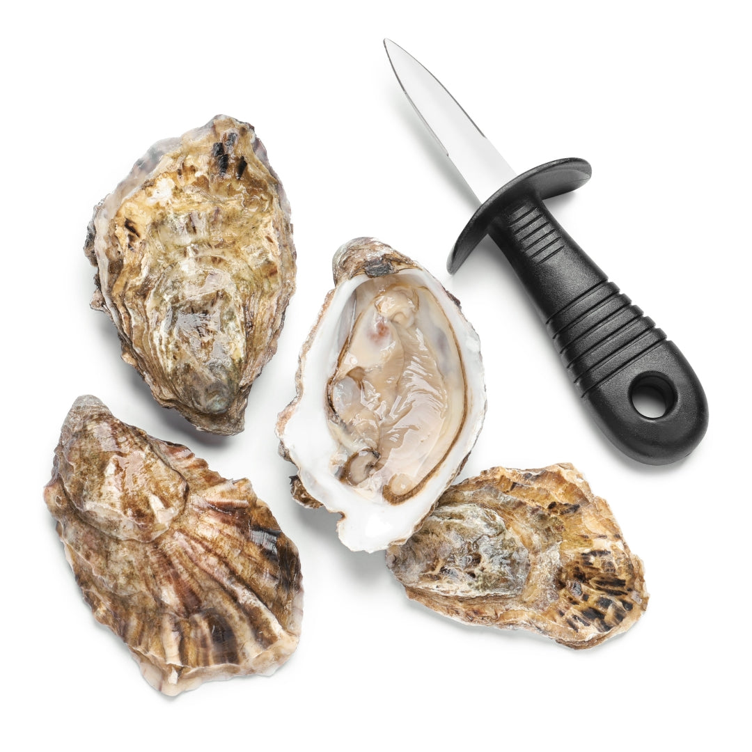 Oyster shells shown next to an oyster knife