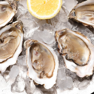 Fresh oysters on a bed of ice with a  slice of lemon