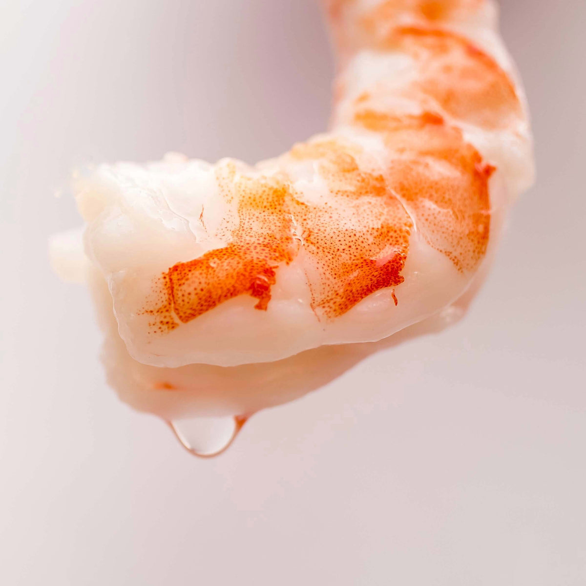Cooked Naked Shrimp (26/30)