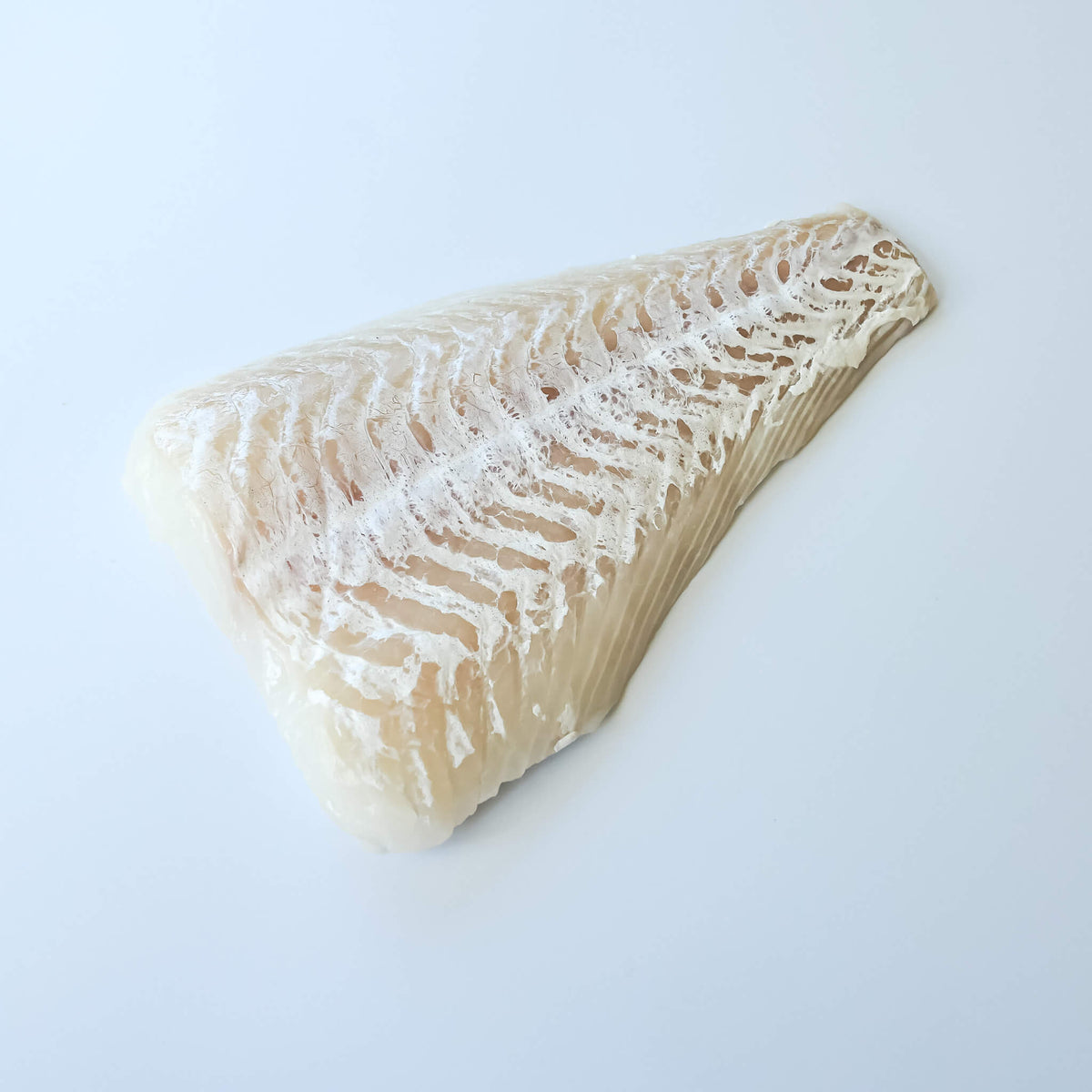 fresh haddock portion on a white background