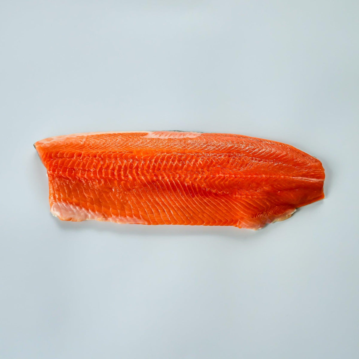 Arctic Char