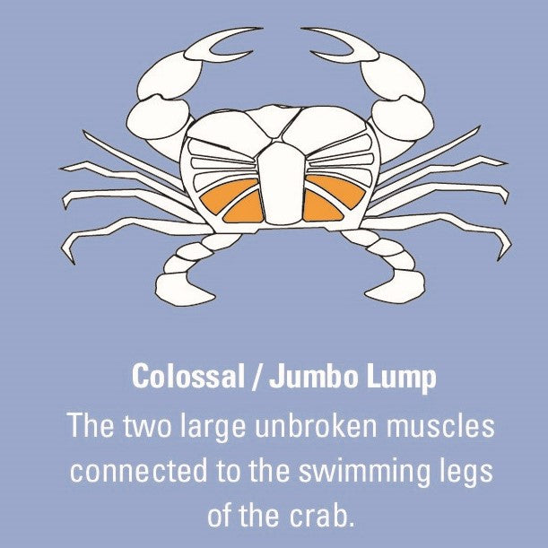 colossal lump crab meat diagram