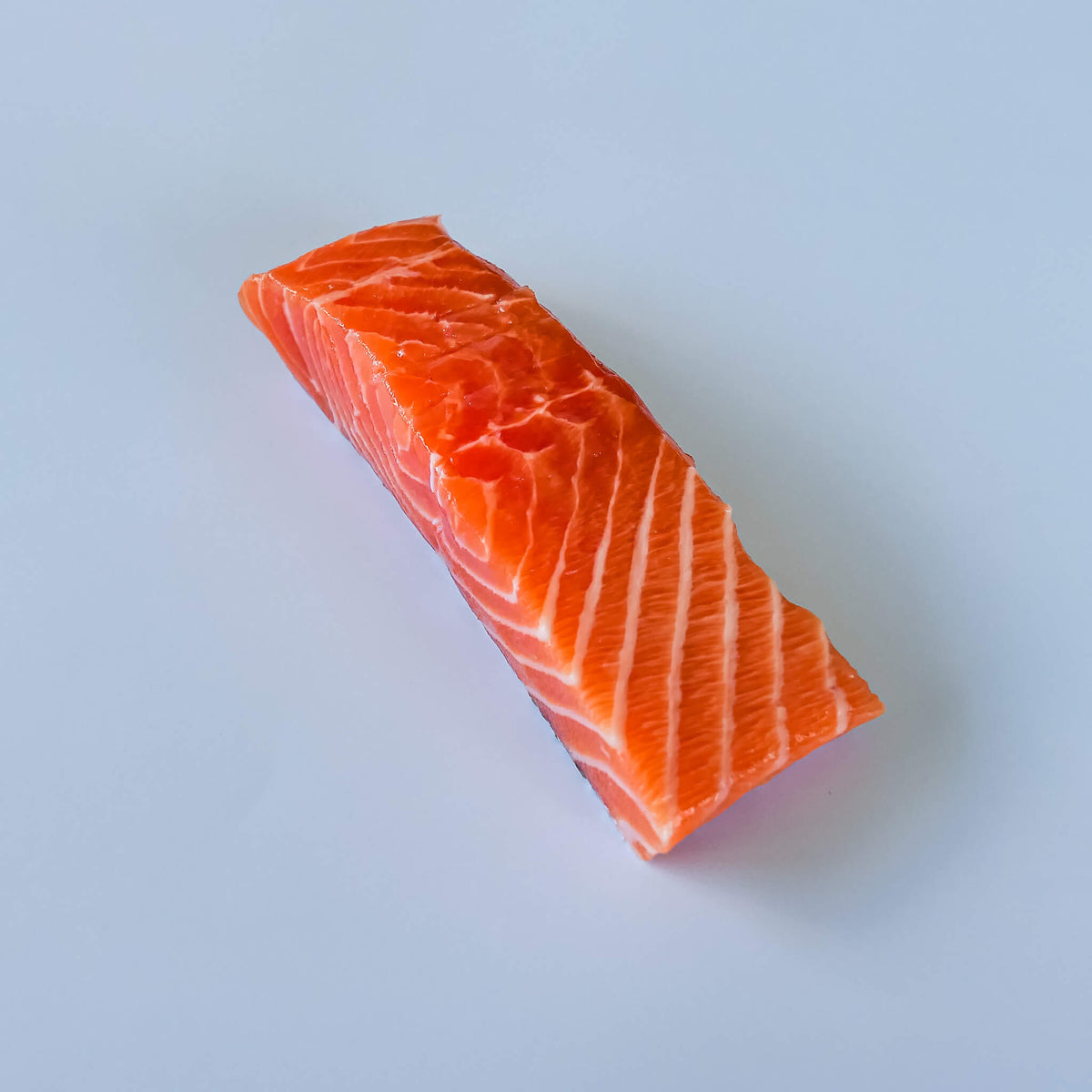 fresh Norwegian salmon on a white background