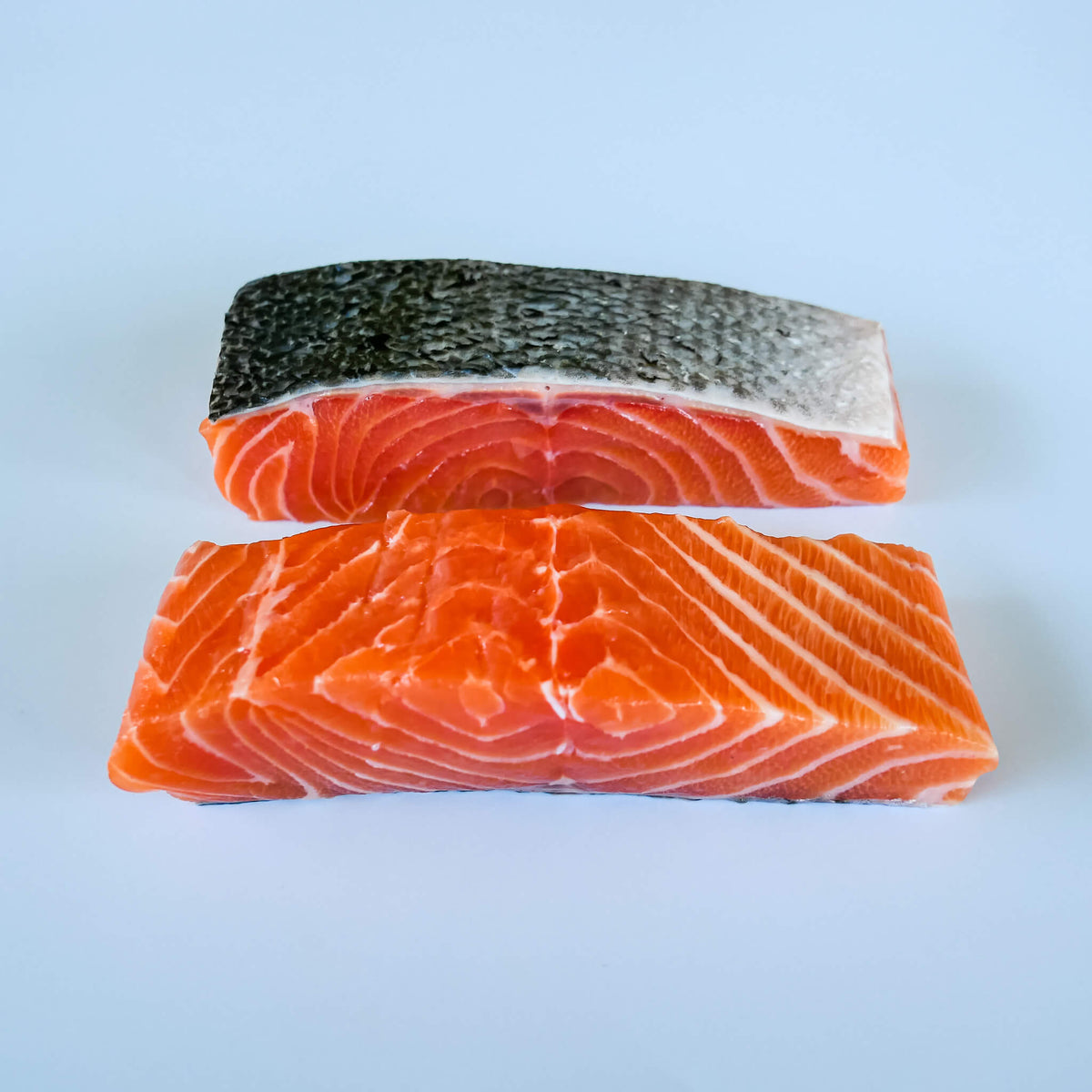 Fresh Salmon | North Coast Seafoods
