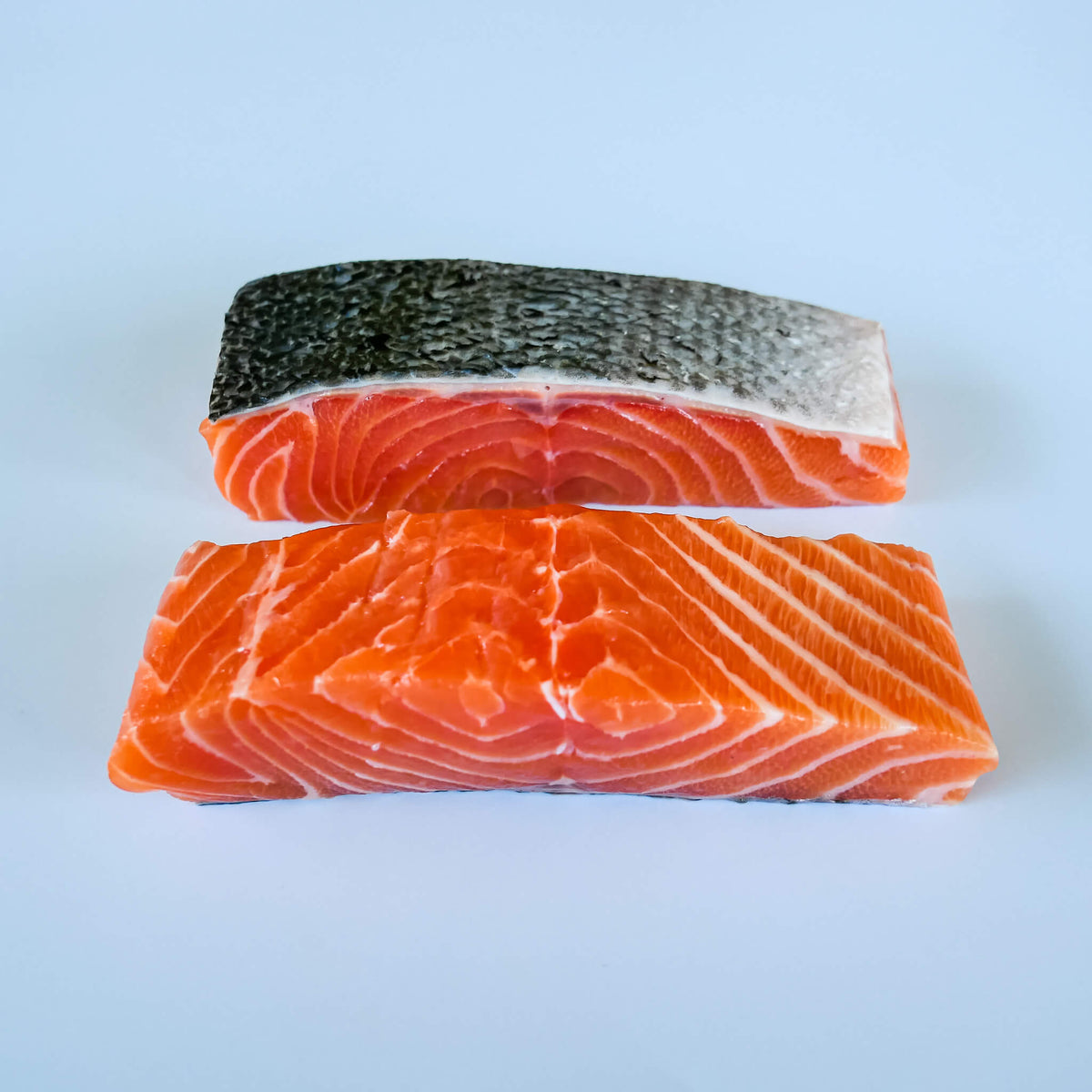 fresh Norwegian salmon portions on a white background