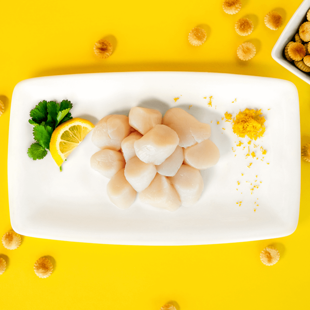raw fresh sea scallops on a white plate with lemon, parsley, and oyster crackers on the side
