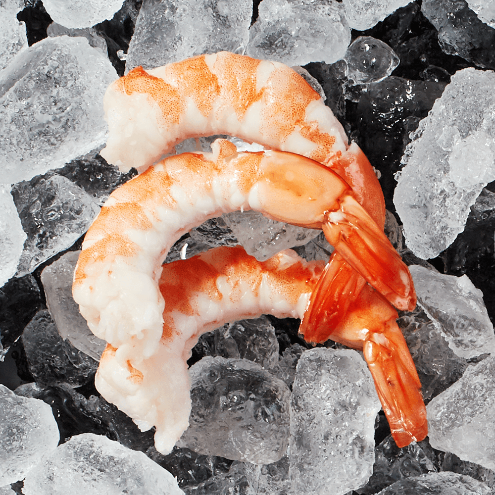 3 cooked naked shrimp on a bed of ice