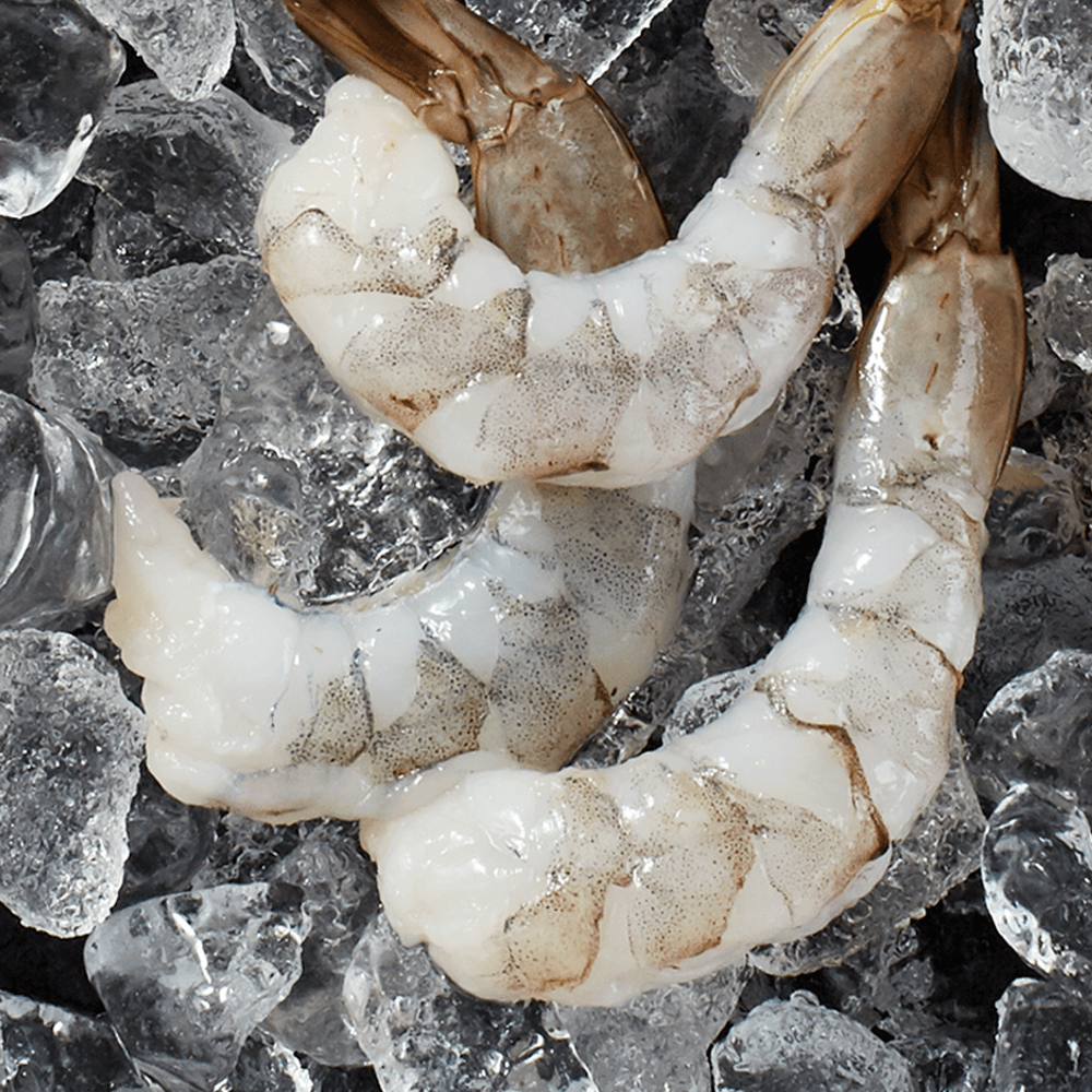 3 raw naked shrimp on a bed of ice