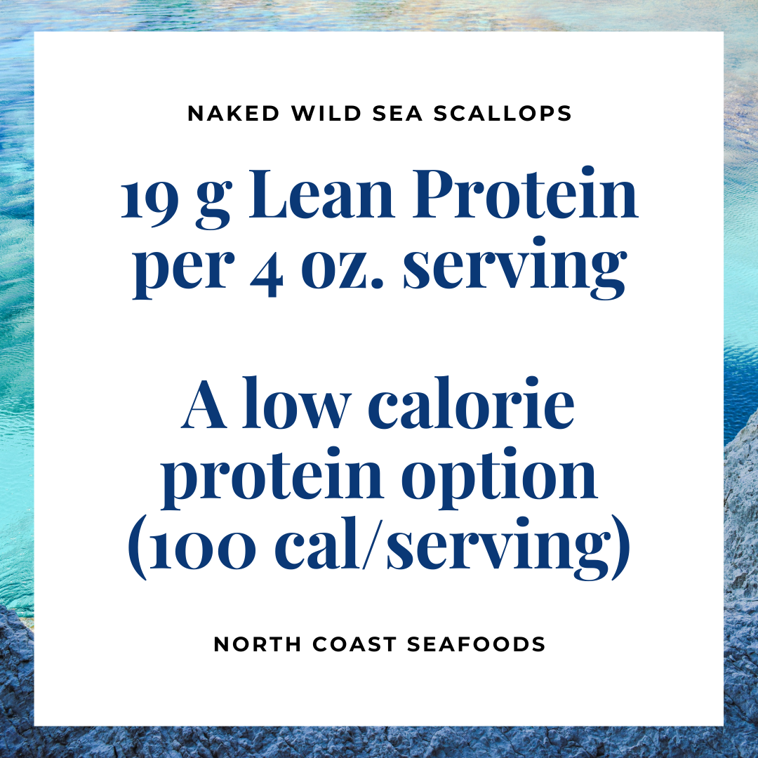 health benefits of sea scallops