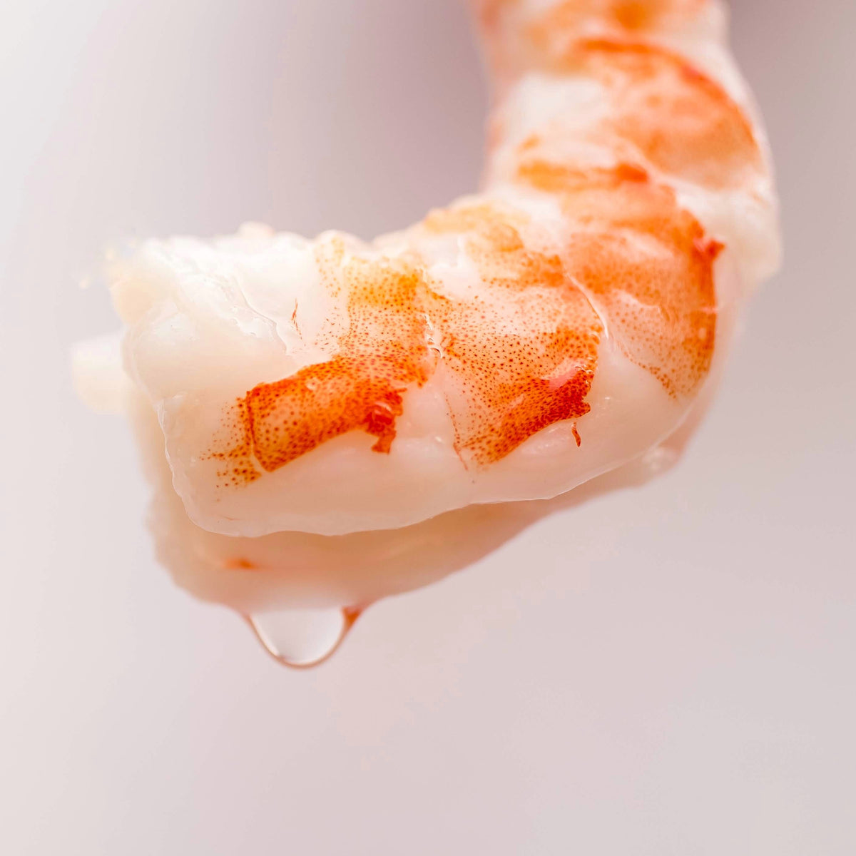 fresh cooked shrimp with a drop of water dripping off