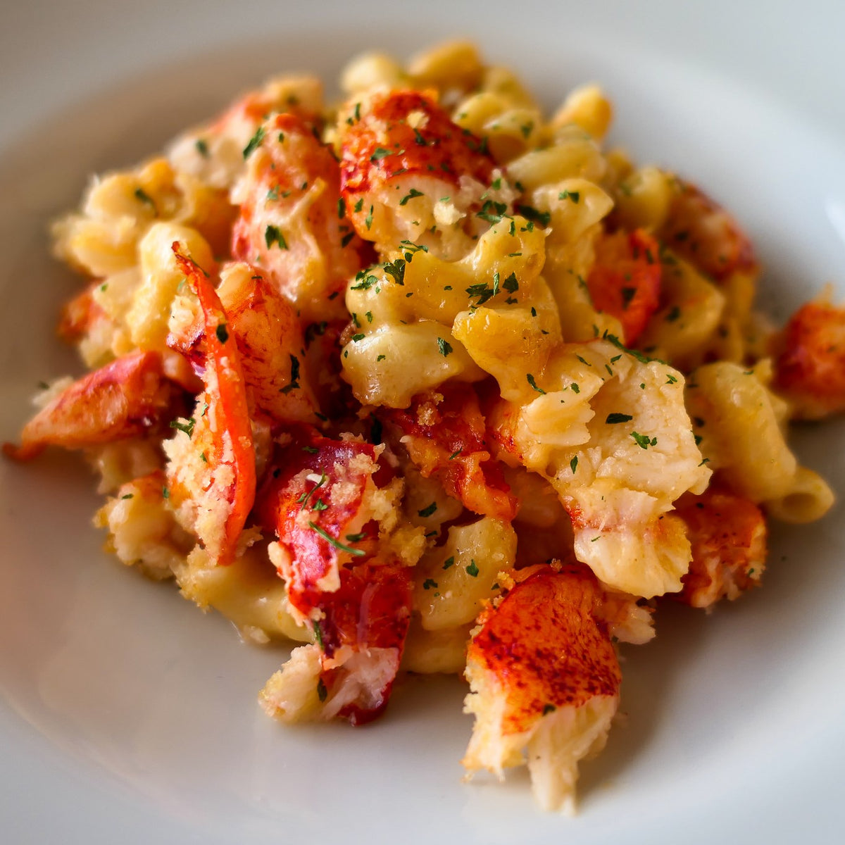 lobster macaroni and cheese with parsley served in a white bowl