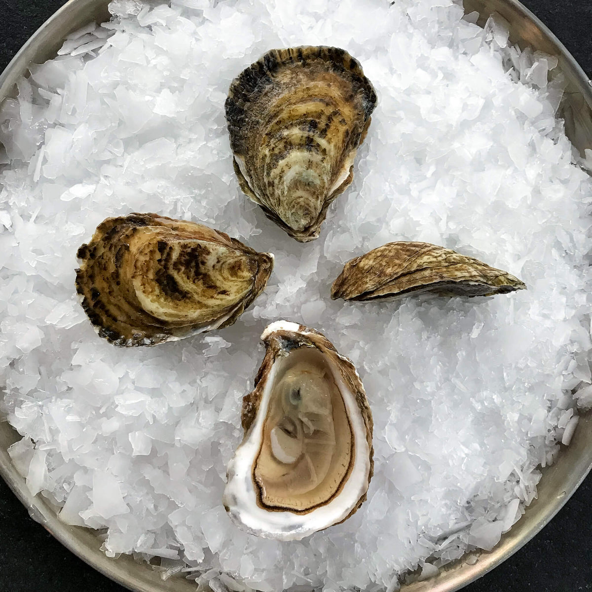 four fresh oysters served on a bed of shaved ice