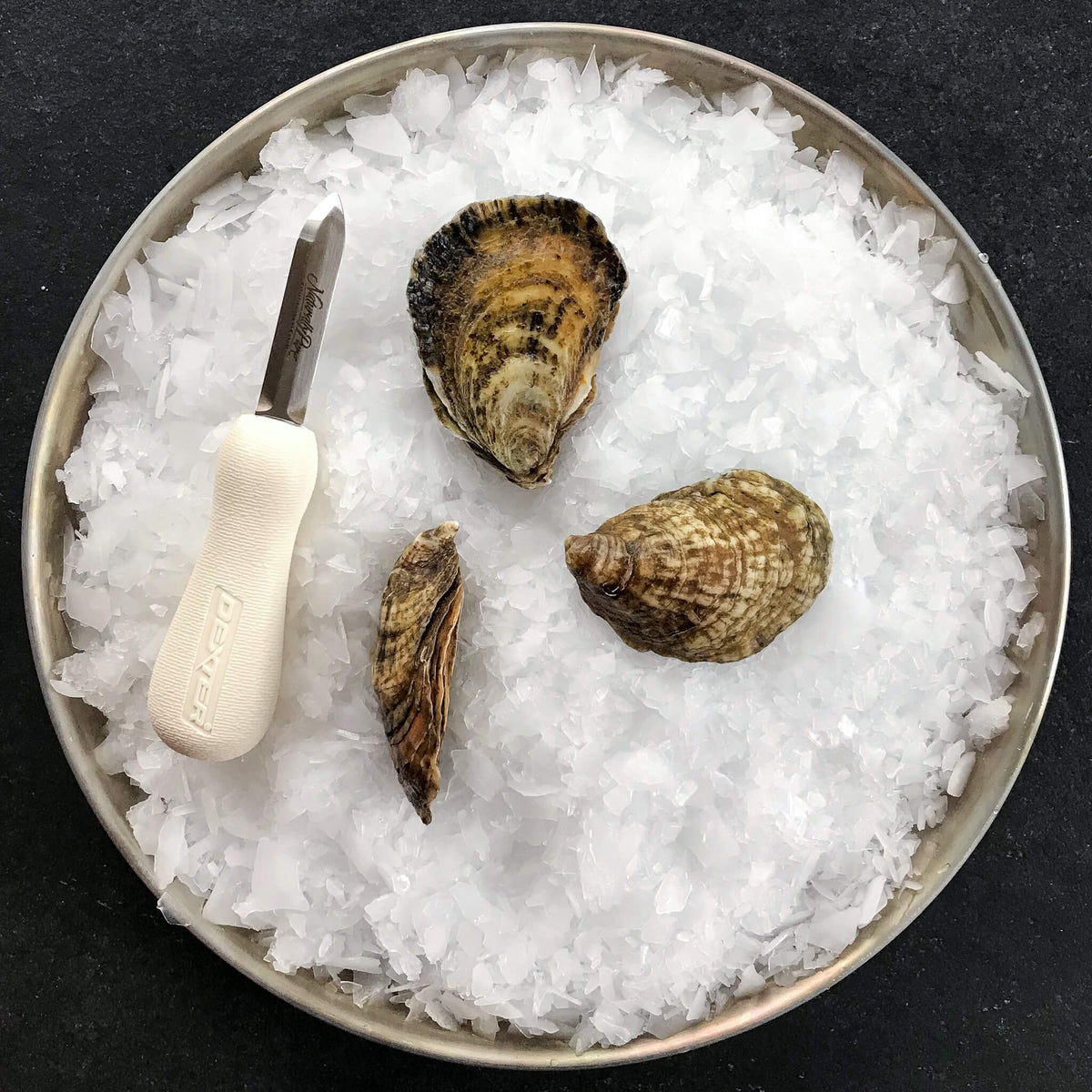 three Wellfleet oysters and a shucking knife on a bed of shaved ice